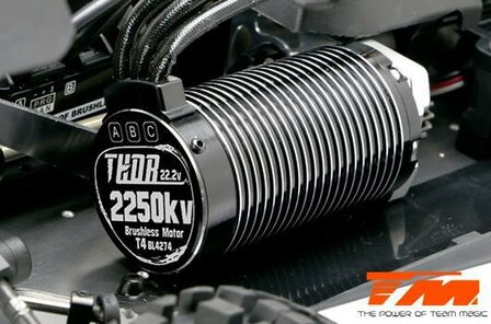 TM560011EH6 Car - 1/8 Electric - 4WD Buggy - RTR - 2250kv Brushless Motor - 6S - Waterproof - Team Magic B8ER Orange Black