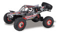 Desert-Buggy-4WD-en-Dessert-buggy-pro