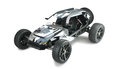 Auto-BUGGY-HAMMERHEAD-V2-BRUSHLESS-1:6-24-GHZ-2WD-RTR