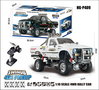 RC-auto-Hg-P409-Toyato-Swinub-4X4-Pickup-1:10-Schaal-2.4G-4WD-Rally-Auto--Rtr